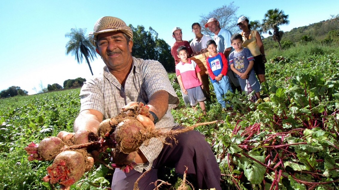 Estudo mostra aumento da ação de mulheres na agricultura familiar