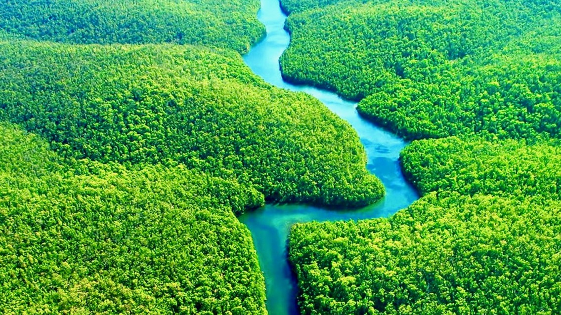 Programa deve ampliar cobertura de internet na região Amazônica Programa deve ampliar cobertura de internet na região Amazônica