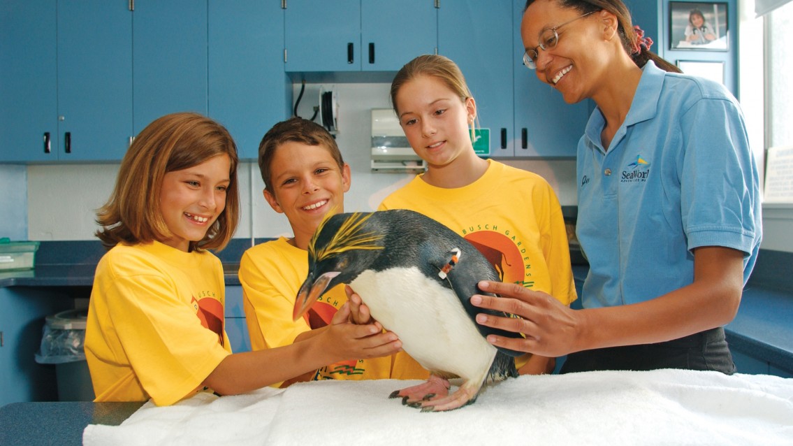 SeaWorld Orlando com tours interativos e educacionais