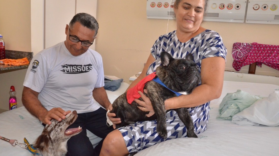 Cinoterapia no HGP completa um ano com quase 600 atendimentos