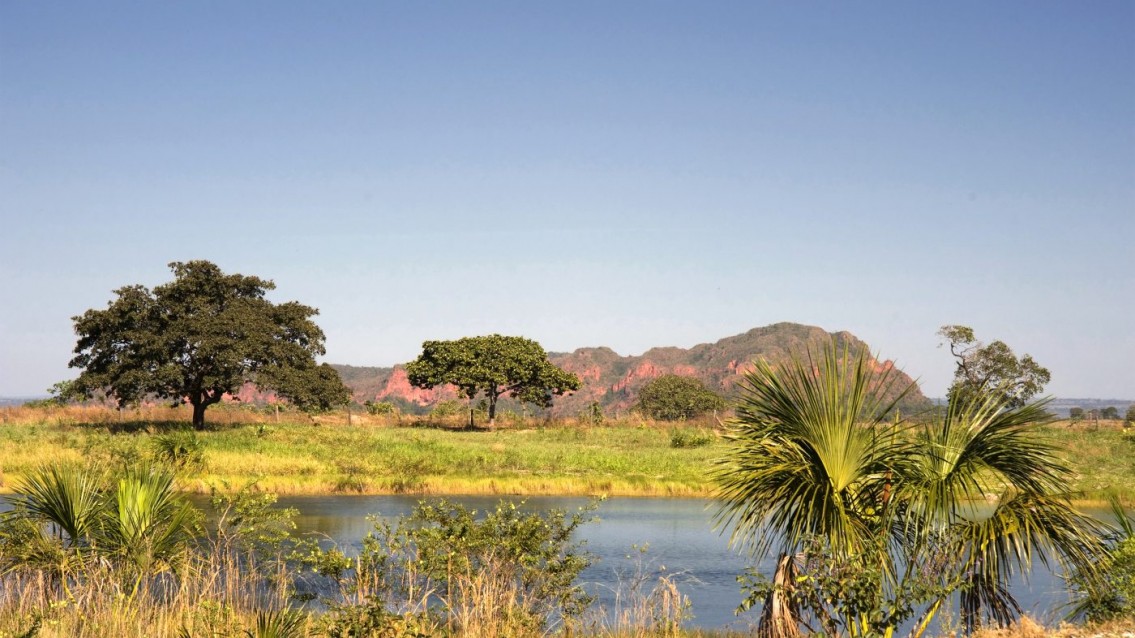 Tocantins tem baixo índice de transparência  ambiental