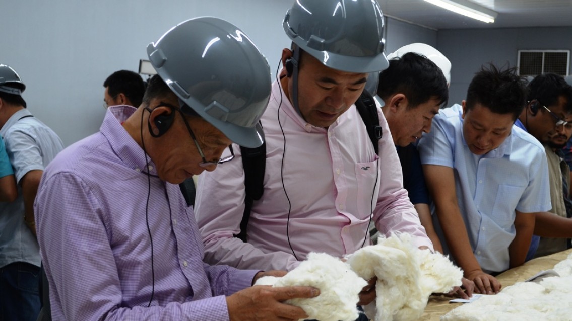 Abapa promove primeiro curso online sobre algodão