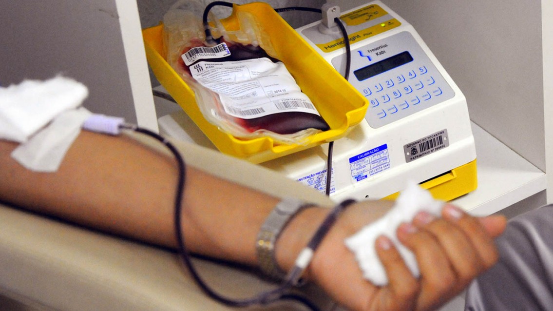 Campanha para doar sangue ganha força no TO Campanha para doar sangue ganha força no TO