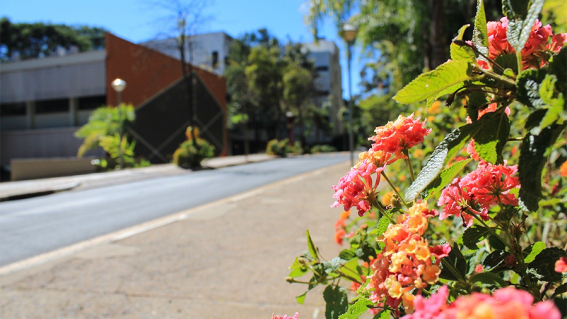 Pós-graduação gratuita na USP