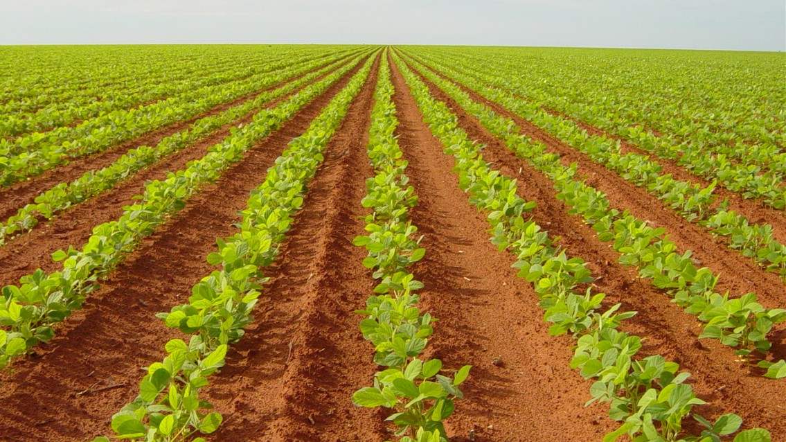 Agricultores preocupados com a próxima safra na Bahia