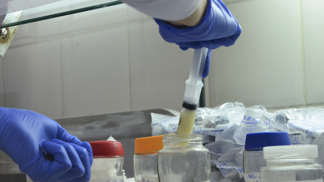 Doações de leite materno ajudam a salvar bebês internados em hospitais