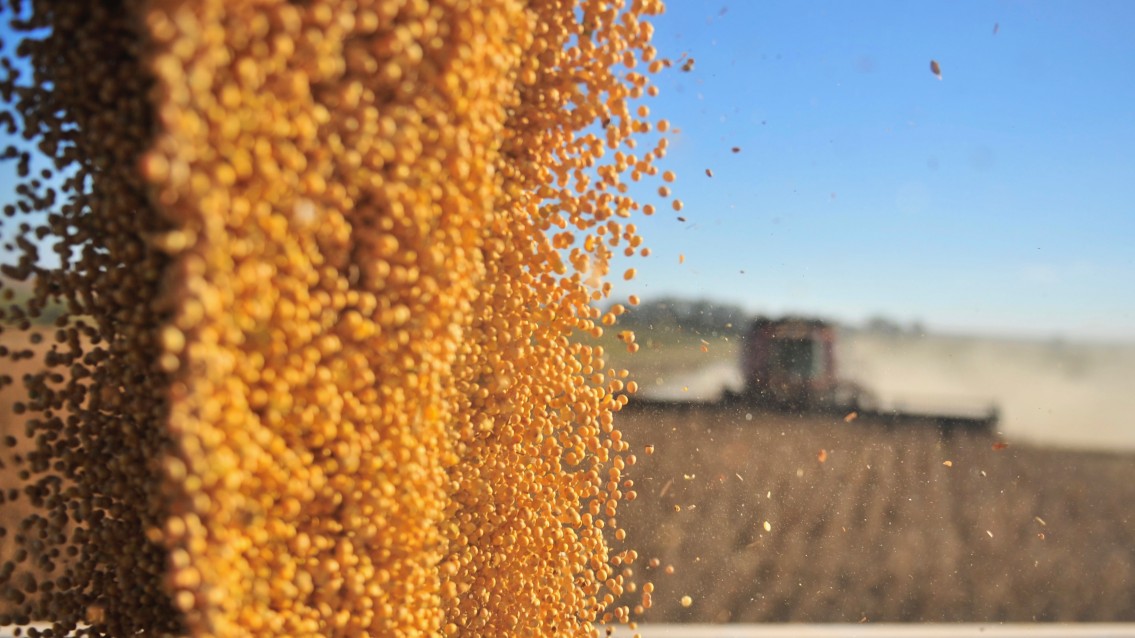 Conab doa mais de 58 mil kg de alimentos no TO