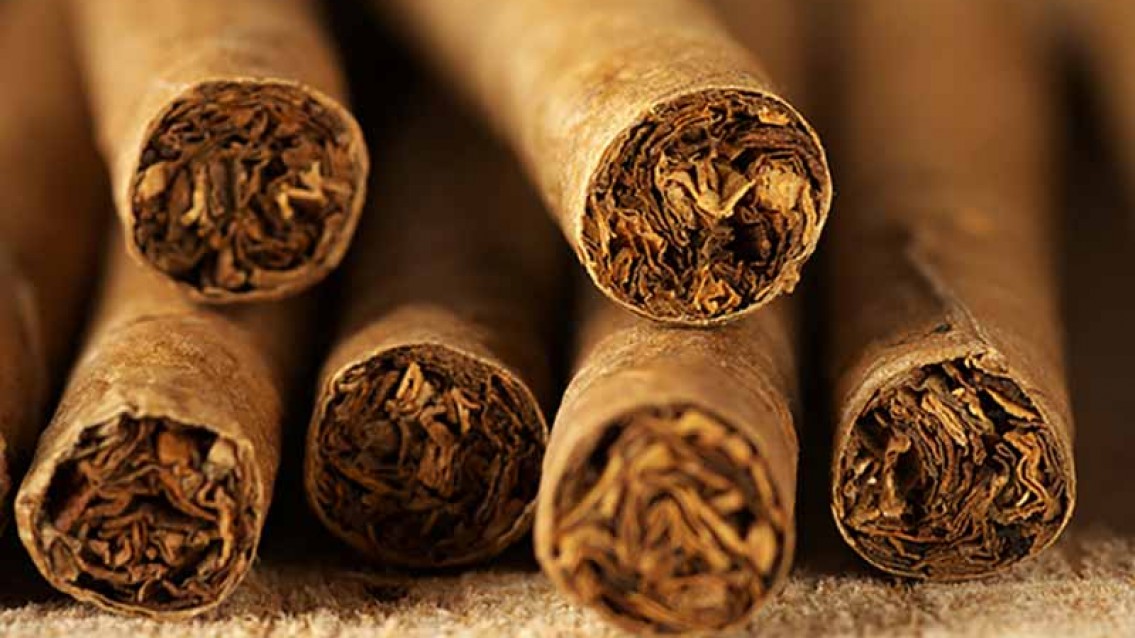 Uso do tabaco é responsável por 90% de câncer no pulmão Uso do tabaco é responsável por 90% de câncer no pulmão